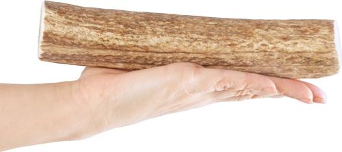 Show full view: Bones & Chews Made in USA Elk Antler Dog Chew, 9.5+ in, XX-Large slide 3 of 10