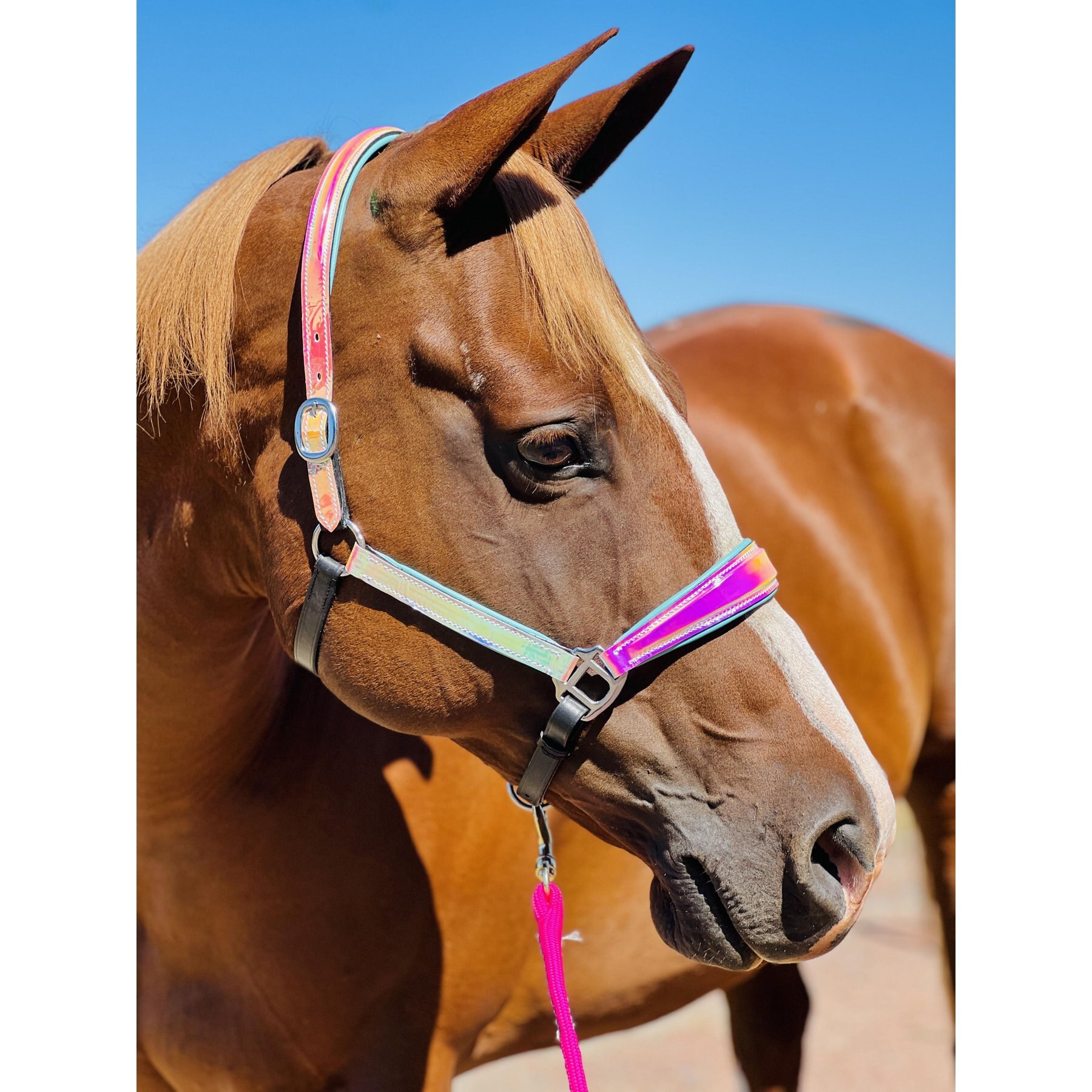 STAR POINT HORSEMANSHIP Holographic Leather Padded Horse Halter