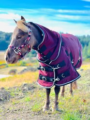 Star Point Horsemanship Mini-Pony 350 Gram Heavyweight Waterproof Hooded Horse Blanket, Burgundy, 52-54-in