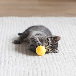 Jackson Galaxy Spiral Galaxy LED Balls Cat Toy, Yellow slide 2 of 4