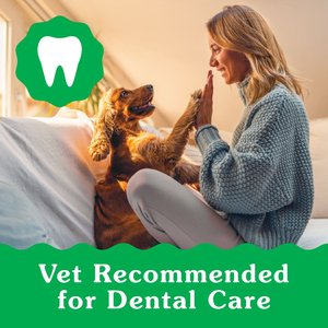 Greenies Regular Puppy Dental Dog Treats, 12 count