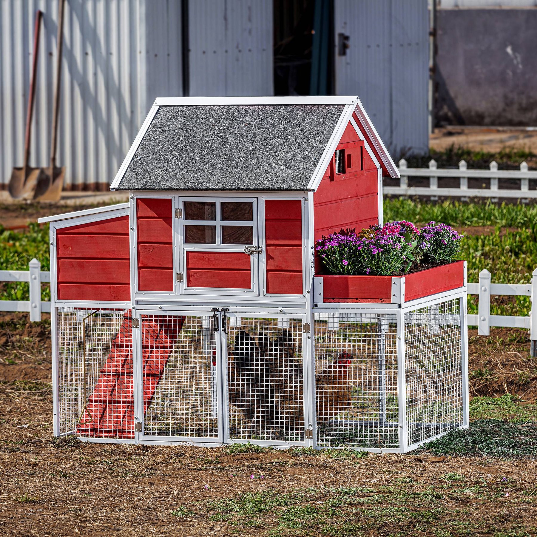Out of Stock WIN WORLD Blooming Chicken Coop, 3 to 4 Chicken Capacity