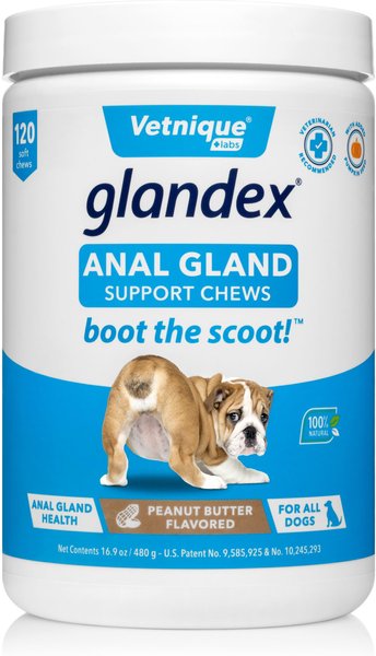 Vetnique Labs Glandex Anal Gland & Probiotic Peanut Butter Flavored Pumpkin Fiber Soft Chew Digestive Dog Supplement, 120 count slide 1 of 9