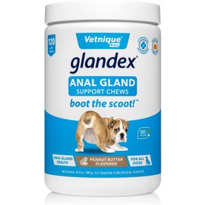 Vetnique Labs Glandex Anal Gland & Probiotic Peanut Butter Flavored Pumpkin Fiber Soft Chew Digestive Dog Supplement, 120 count