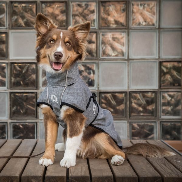 Back on Track Bark Dog Coat