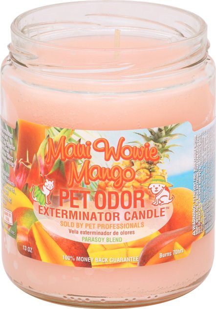 Smoke Odor Exterminator Maui Wowie Mango Scented Candle 