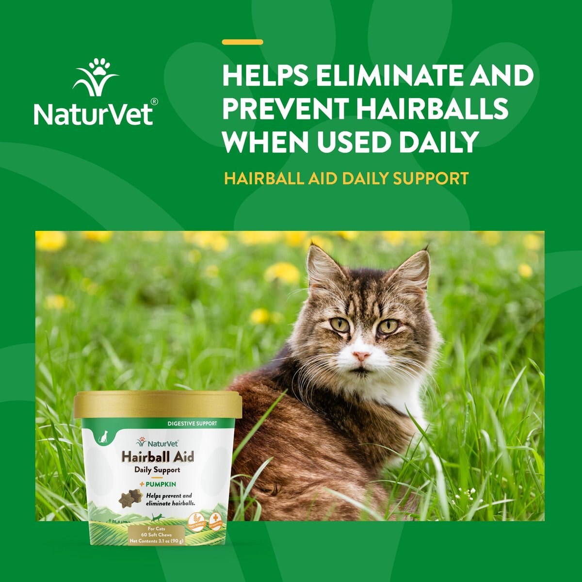 NATURVET Hairball Aid Plus Pumpkin Soft Chews Hairball Control