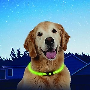 Nite Ize NiteHowl LED Safety Necklace Dog Collar, Green, 12 to 27-in neck, 3/10-in wide
