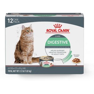 Royal Canin Feline Care Nutrition Digestive Care Thin Slices In Gravy Canned Cat Food, 3-oz, case of 12
