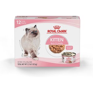 Royal Canin Feline Health Nutrition Thin Slices in Gravy Wet Kitten Food, 3-oz can, case of 12