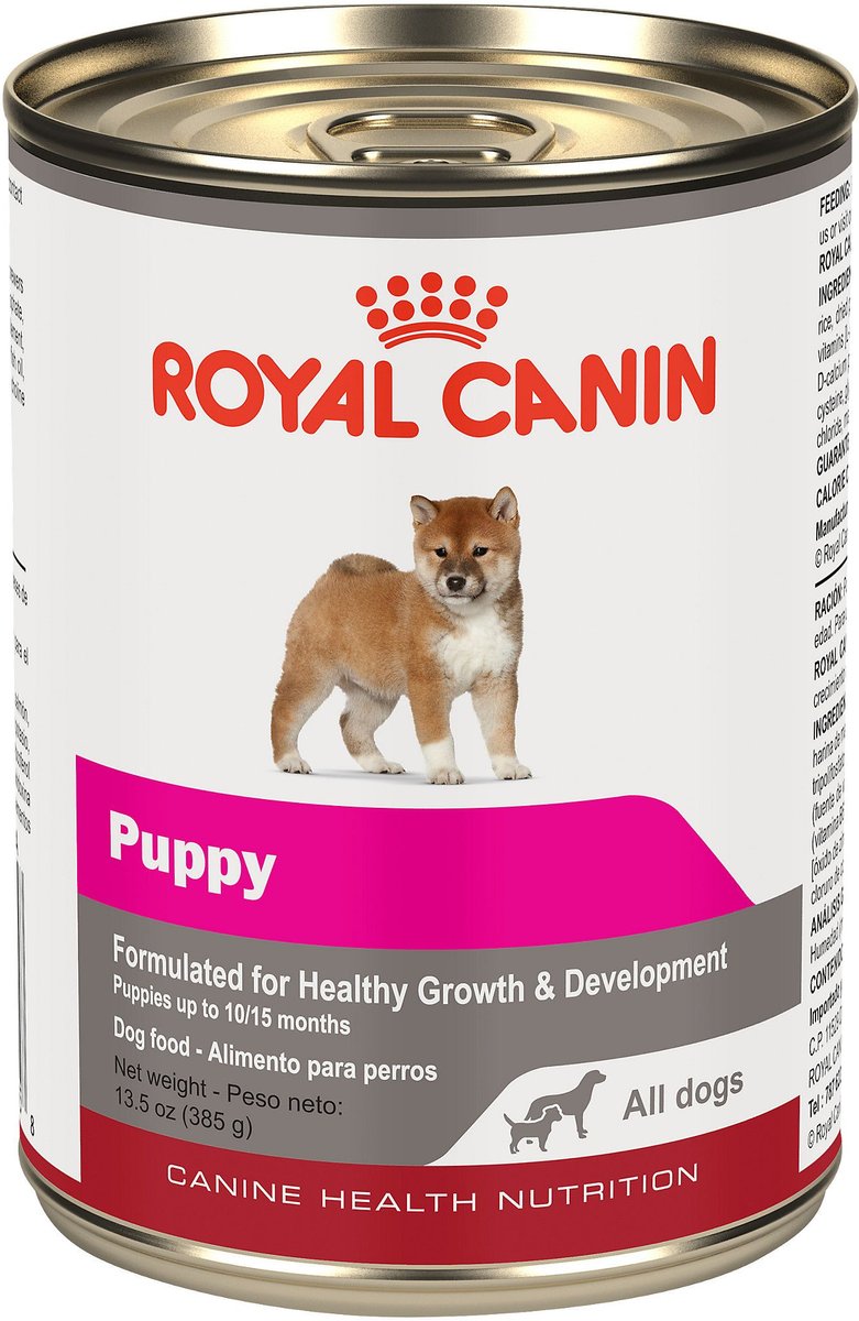 When can puppies eat wet best sale dog food