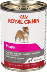 Royal Canin Puppy Canned Dog Food, 13.5-oz, 12 count