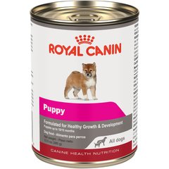 Best healthy outlet canned dog food