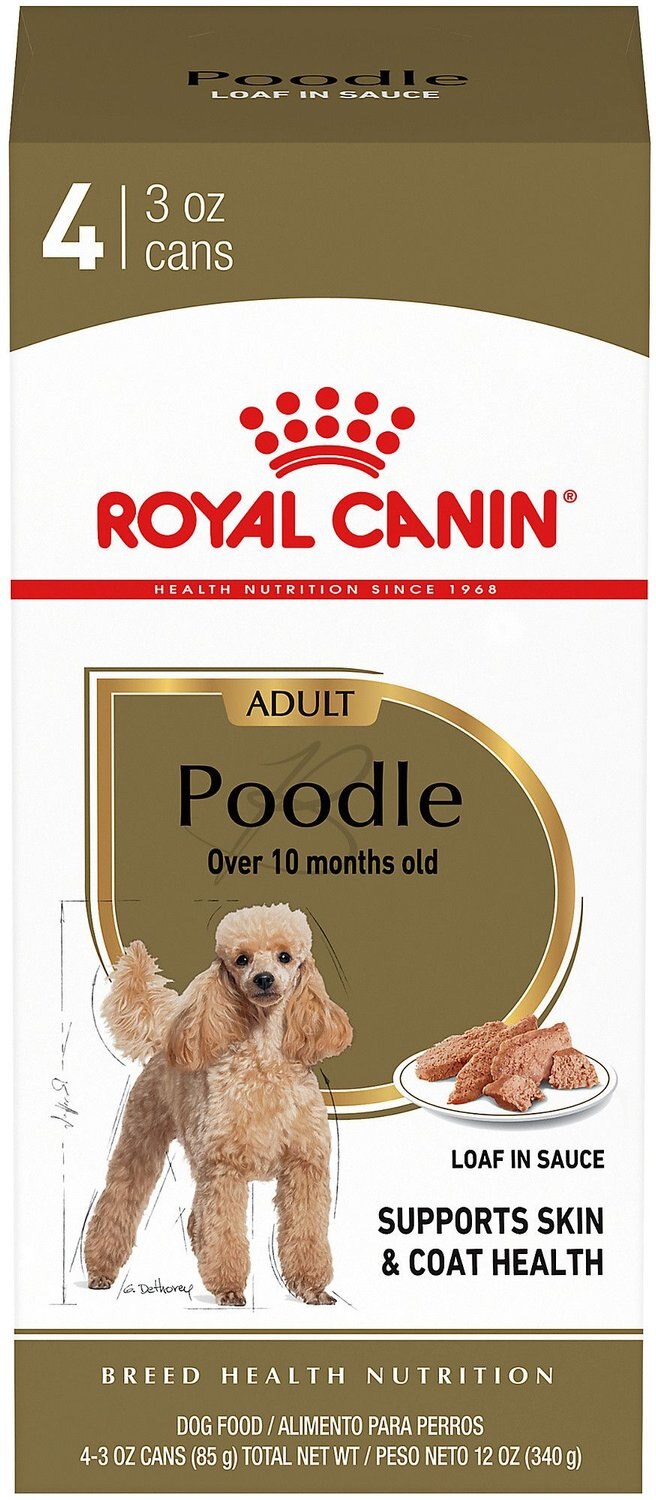 royal canin poodle wet