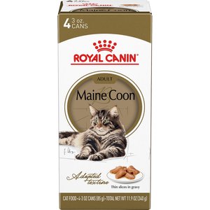 Royal Canin Feline Breed Nutrition Maine Coon Thin Slices In Gravy Adult Canned Cat Food, 3-oz, case of 4