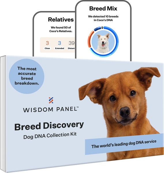 Wisdom Panel Breed Discovery Breed Identification DNA Test for Dogs slide 1 of 8