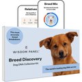 Wisdom Panel Breed Discovery Breed Identification DNA Test for Dogs