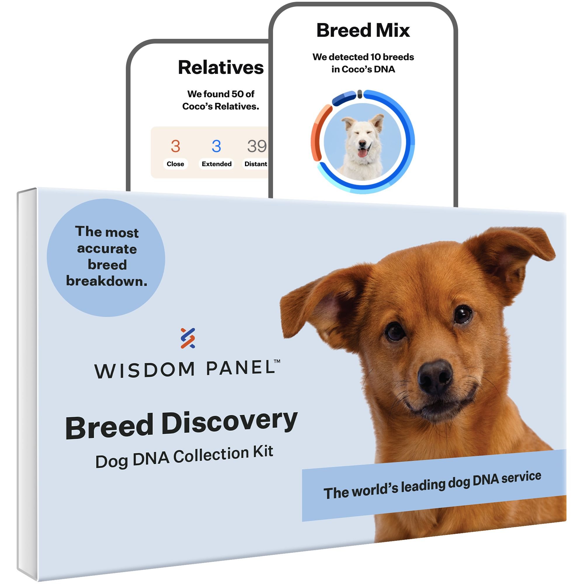 Breed Discovery Breed Identification DNA Test for Dogs