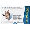 Flea & Tick
