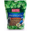 Mealworms & Insects