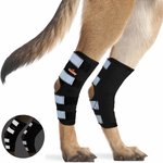 NEOALLY Rear Leg Metal Spring Support Dog Brace, 2 count, Medium