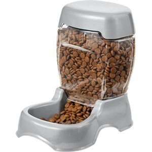 Dog Feeders & Waterers: Slow, Automatic & More (Free Shipping) | Chewy
