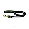 Leashes